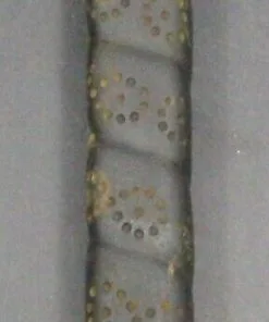 Odyssey Dual Force 668 Putter Steel Shaft 87cm Playing Length Odyssey Grip -Fairway Woods shop 32 a6932bd3 1698 4c64 9896 de40ec941624